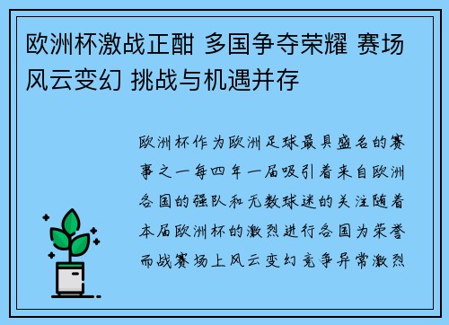 欧洲杯激战正酣 多国争夺荣耀 赛场风云变幻 挑战与机遇并存